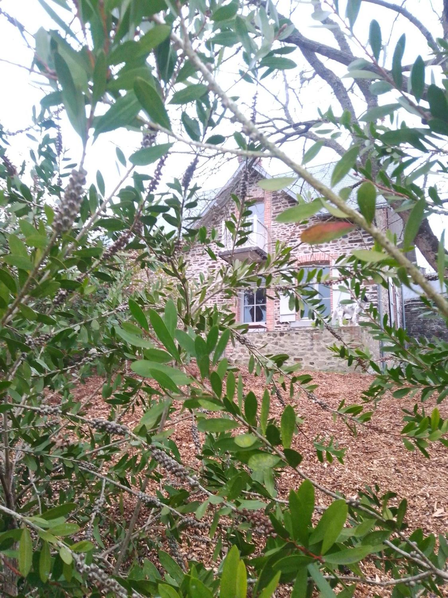 Villa Domaine Le Gaudin - Saint Jean le Thomas Chambre photo
