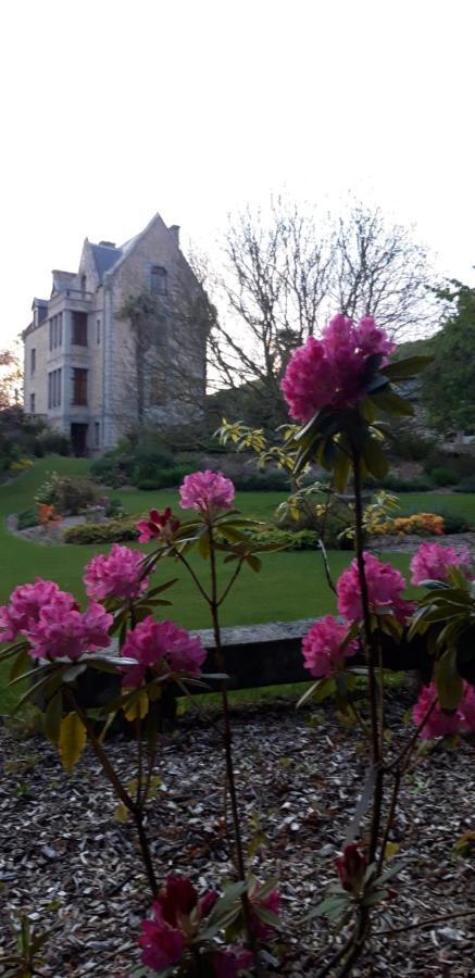 Villa Domaine Le Gaudin - Saint Jean le Thomas Extérieur photo